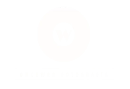 oncewed logo